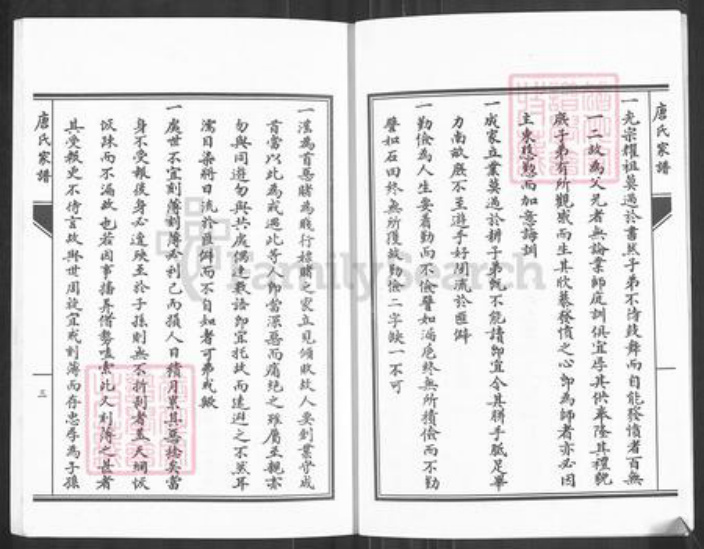 湖南省永州市零陵区唐氏族谱-唐氏家谱.pdf电子版插图5