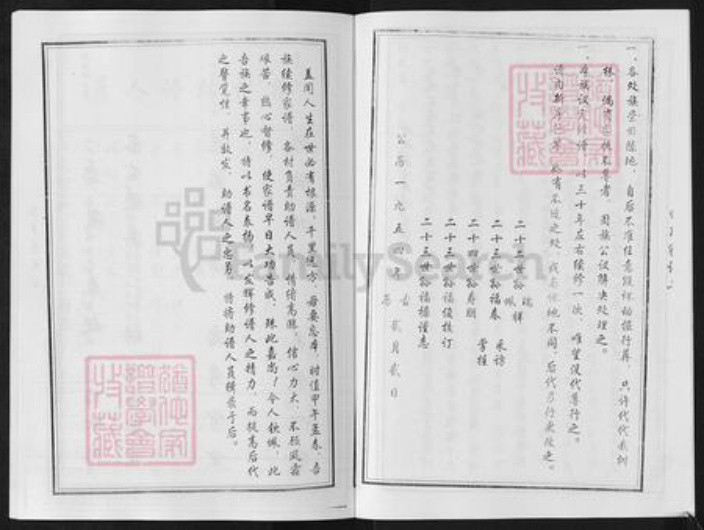 山东省淄博市淄川区田氏族谱-田氏田庄家谱.pdf电子版插图5