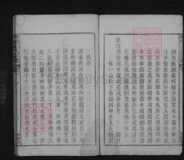 江西省九江市湖口县王氏族谱-琅琊王氏宗谱 [不分卷].pdf电子版插图5