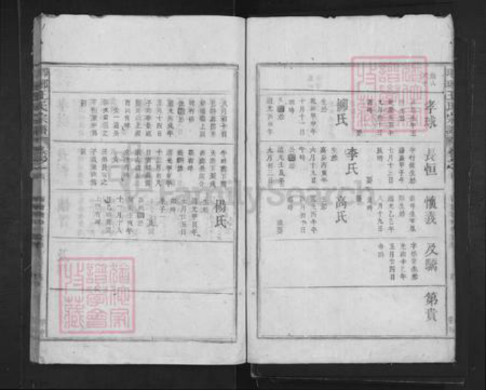 山东省临沂市临沂市王氏族谱-琅琊王氏宗谱.pdf电子版插图5