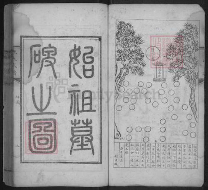 河北省沧州东光县王氏族谱-王氏家谱.pdf电子版插图5