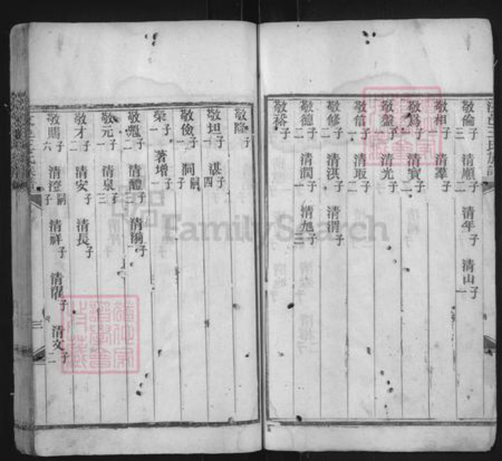 山东省济宁市汶上县王氏族谱-汶邑王氏族谱.pdf电子版插图5 山东省济宁市汶上县王氏族谱-汶邑王氏族谱.pdf电子版插图5
