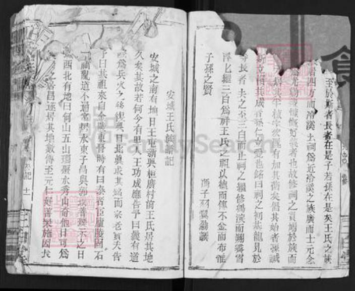 江西省吉安市安福县王氏三白堂族谱-王氏族谱.pdf电子版插图5