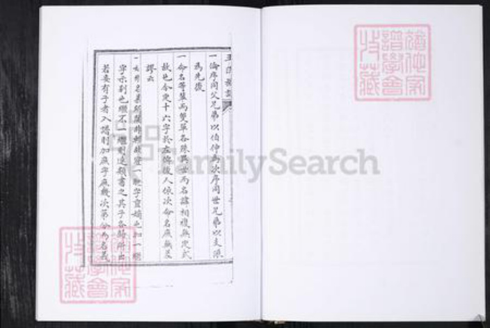 山东省青岛市王氏族谱-王氏族谱.王家庄信村.pdf电子版插图5