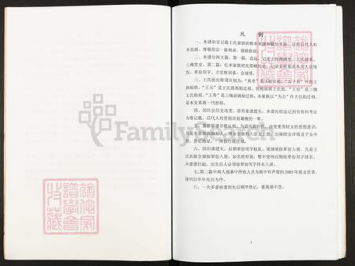 江苏省扬州市仪征市大仪镇王氏三槐堂族谱-王氏家谱.pdf电子版插图5