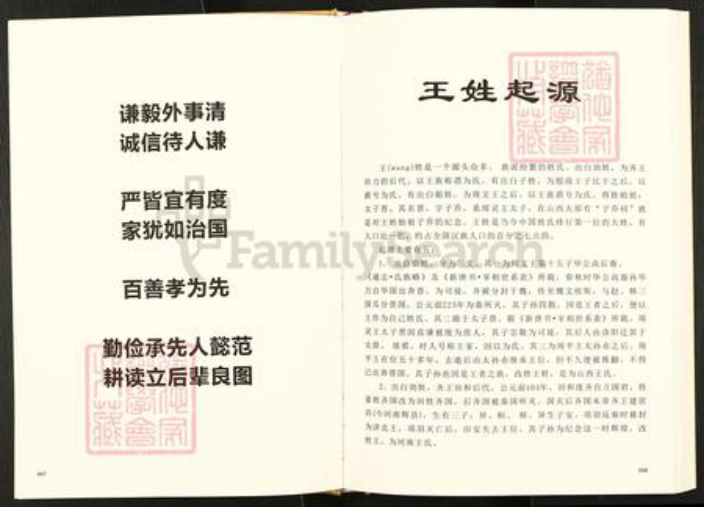 四川省南充市仪陇县日兴镇王氏三槐堂族谱-王氏族谱.pdf电子版插图5