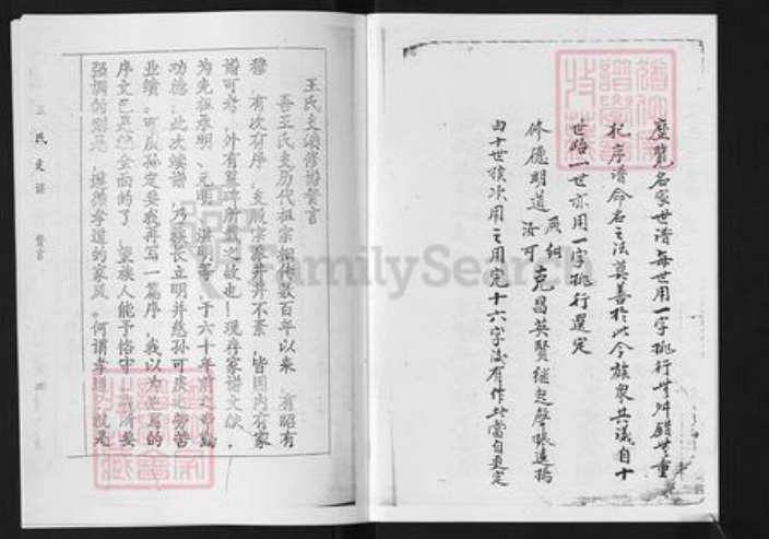 山东省淄博市淄川区王氏族谱-山东淄川城东王氏支谱.pdf电子版插图5 山东省淄博市淄川区王氏族谱-山东淄川城东王氏支谱.pdf电子版插图5