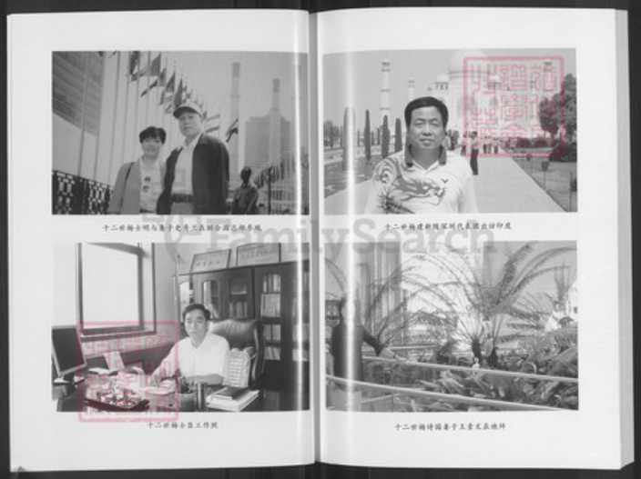 山西省阳泉市平定县冠山镇杨氏族谱-杨氏族谱.pdf电子版插图5