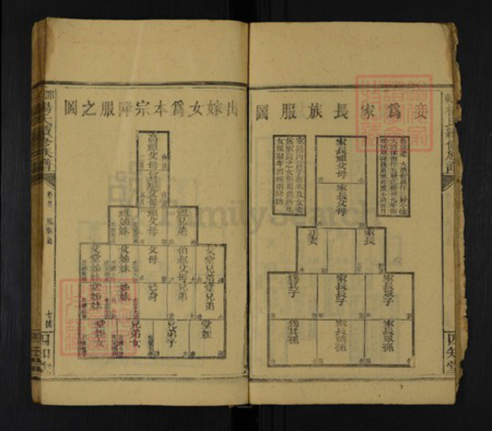 湖南省邵阳市邵东杨氏四知堂族谱-邵东杨氏续修族谱.pdf电子版插图5 湖南省邵阳市邵东杨氏四知堂族谱-邵东杨氏续修族谱.pdf电子版插图5