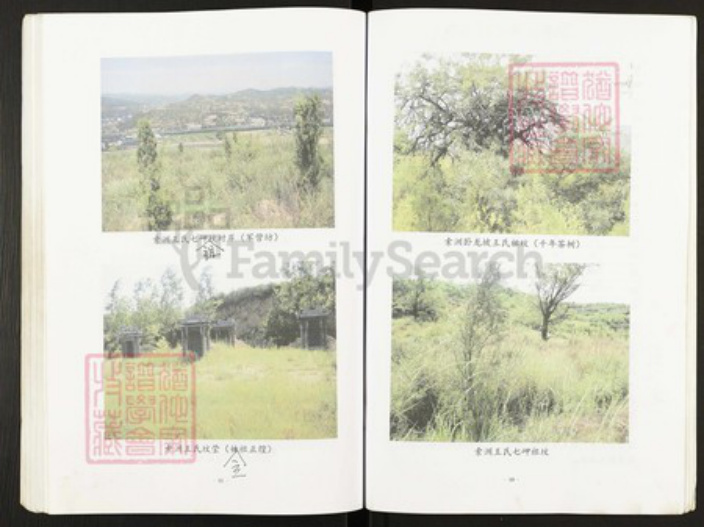 山西省晋中市灵石县两渡镇王氏族谱-王氏族谱.pdf电子版插图5