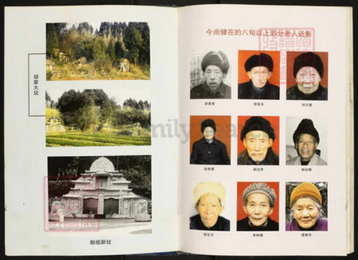 四川省南充市仪陇县四川省南充市仪陇县胡氏族谱-胡氏族谱.pdf电子版插图5