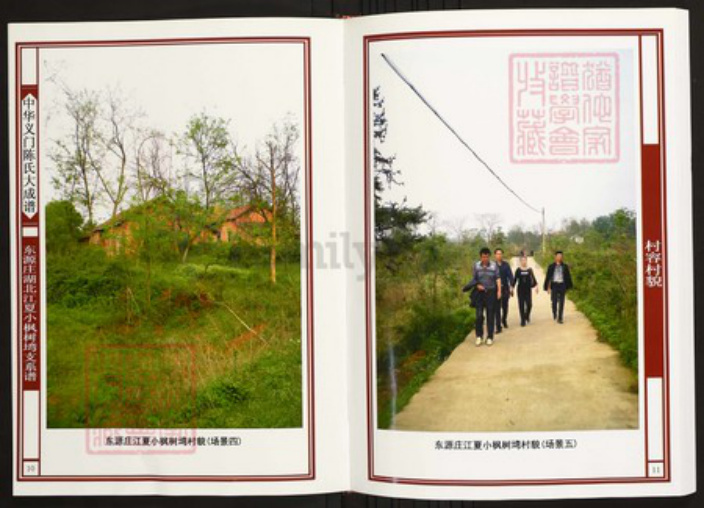 湖北省武汉市江夏区陈氏族谱-中华义门陈氏大成谱东源庄湖北江夏小枫树塆支系谱.pdf电子版插图5