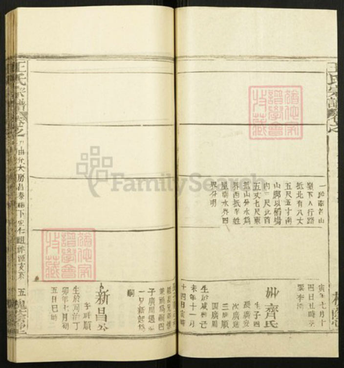 江西省宜春市王氏族谱-王氏宗谱.pdf电子版插图5