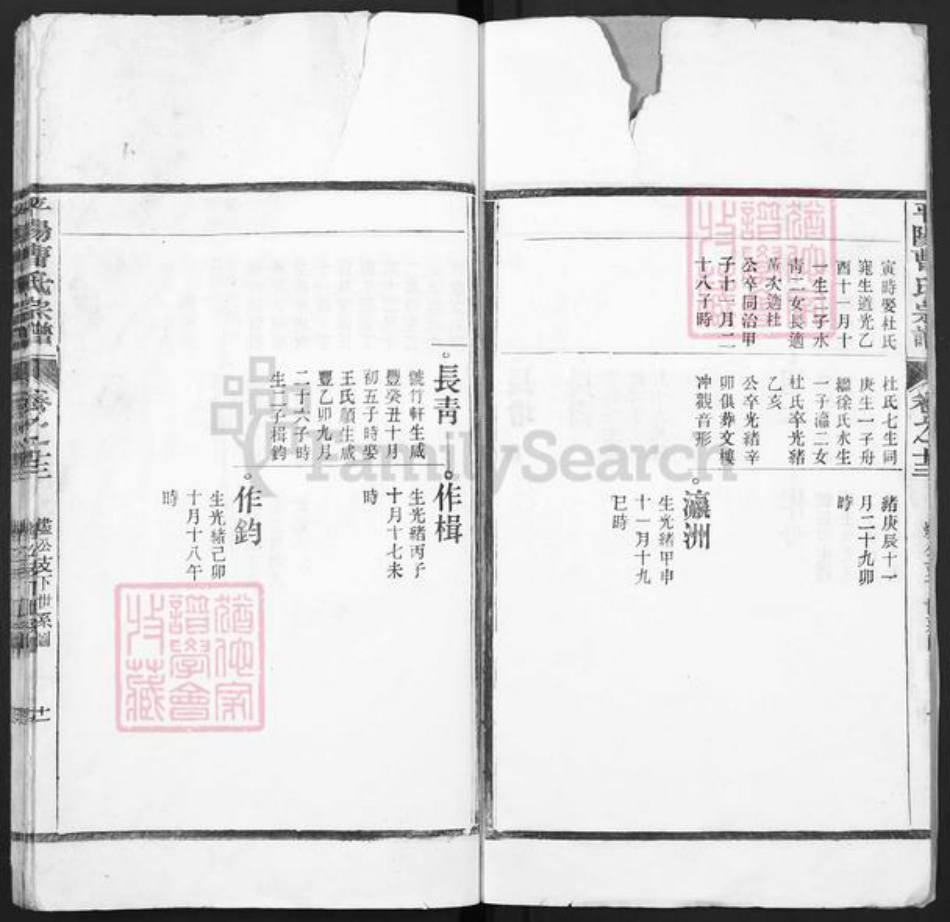 浙江省温州市曹氏族谱-平阳曹氏宗谱.pdf电子版插图5