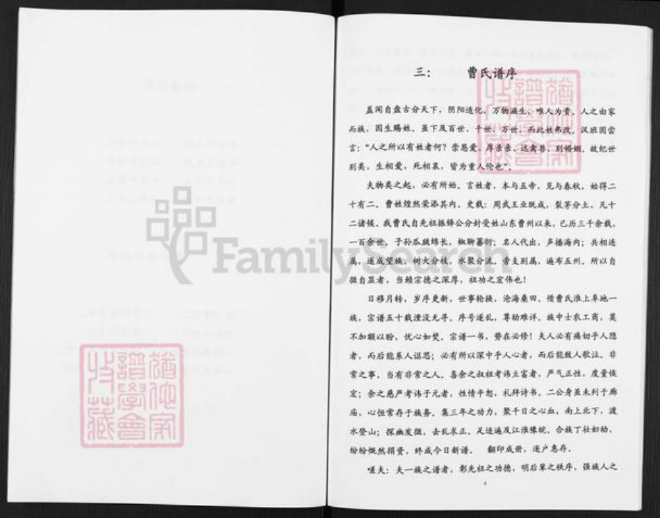 安徽省阜阳市阜南县新村镇曹氏族谱-曹氏宗谱.pdf电子版插图5