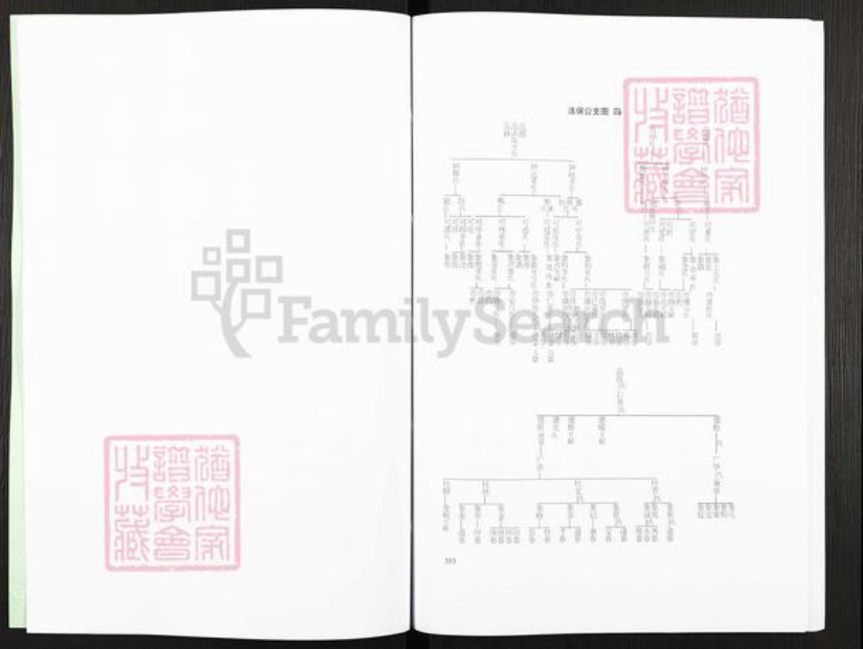 广西壮族自治区玉林平南大鹏镇岑氏族谱-岑氏族谱.pdf电子版插图5