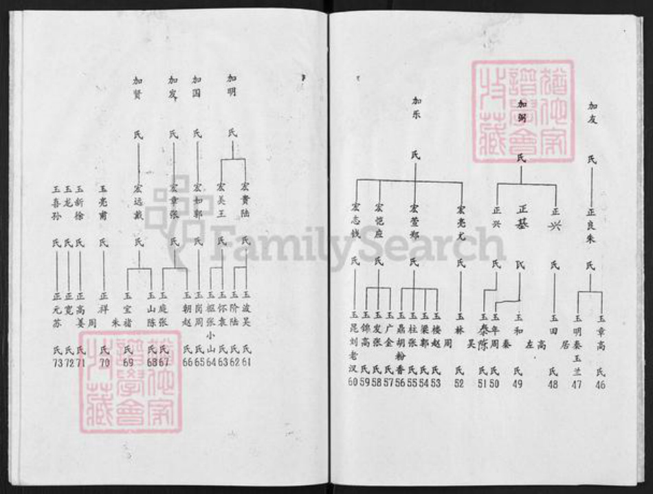江苏省扬州市高邮市陈氏颖川堂族谱-陈氏谱书.pdf电子版插图5