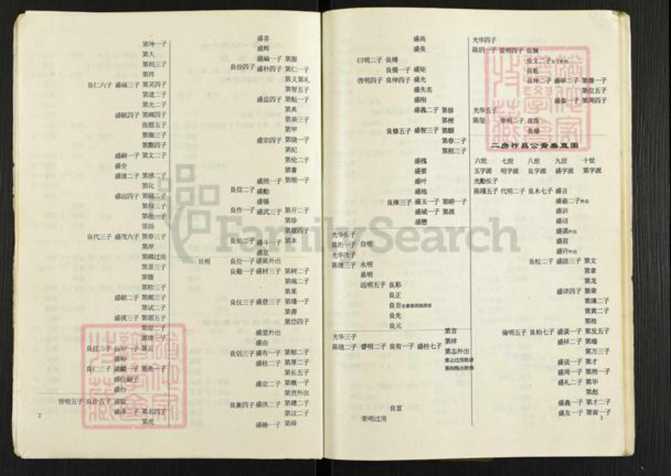 重庆市潼南区太安镇陈氏族谱-陈氏族(简)谱.pdf电子版插图5 重庆市潼南区太安镇陈氏族谱-陈氏族(简)谱.pdf电子版插图5