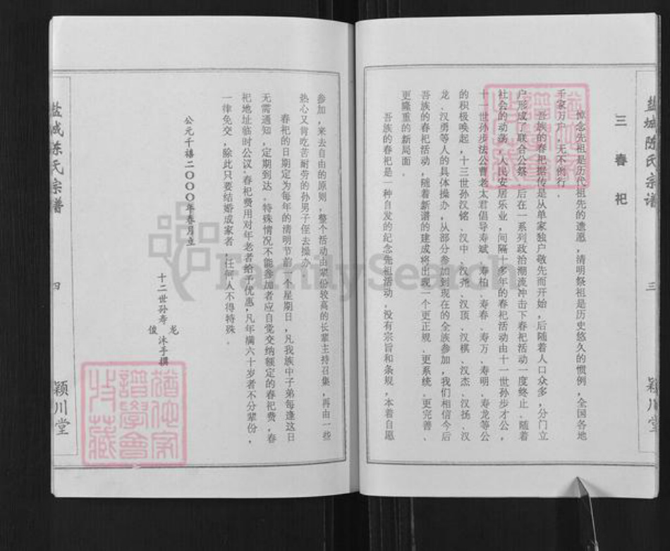 江苏省盐城市建湖县陈氏颖川堂族谱-盐城陈氏宗谱.pdf电子版插图5