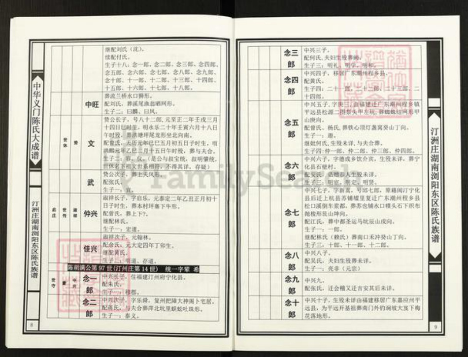 湖南省长沙市浏阳市官渡镇陈氏族谱-中华义门陈氏大成谱.汀州庄湖南浏阳东区陈氏族谱.浏东达浒里佳洞道照支系.pdf电子版插图5