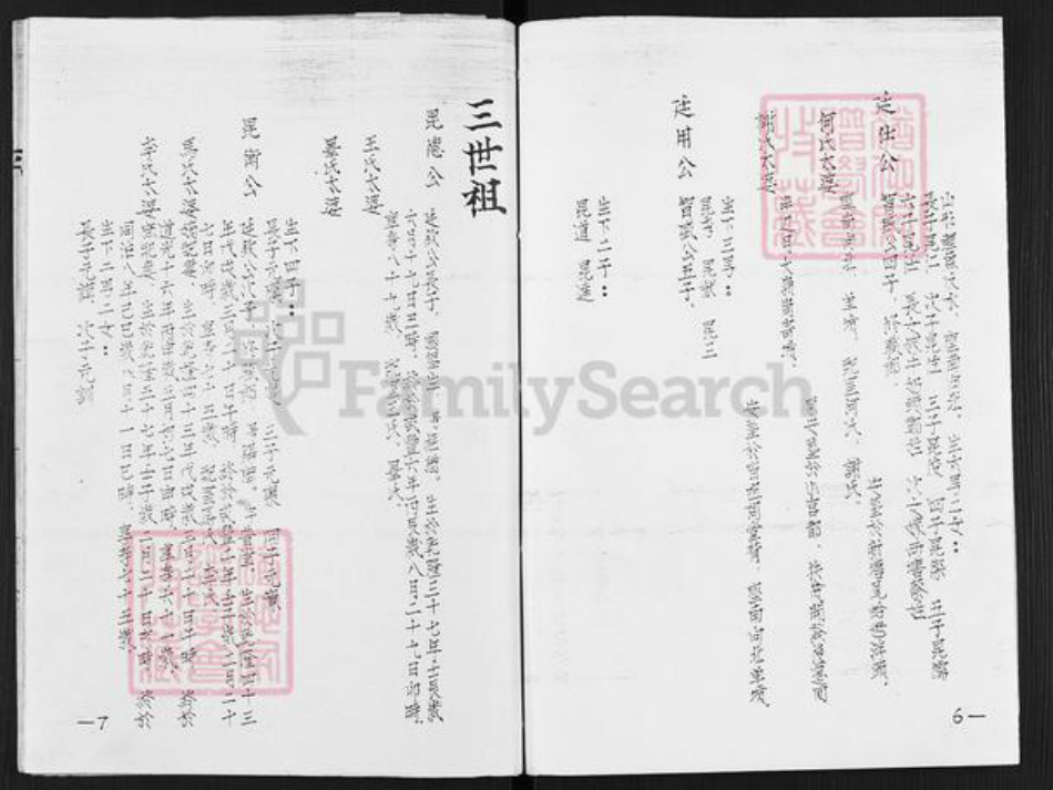 广东省清远市陈氏世昌堂族谱-陈氏族谱.pdf电子版插图5