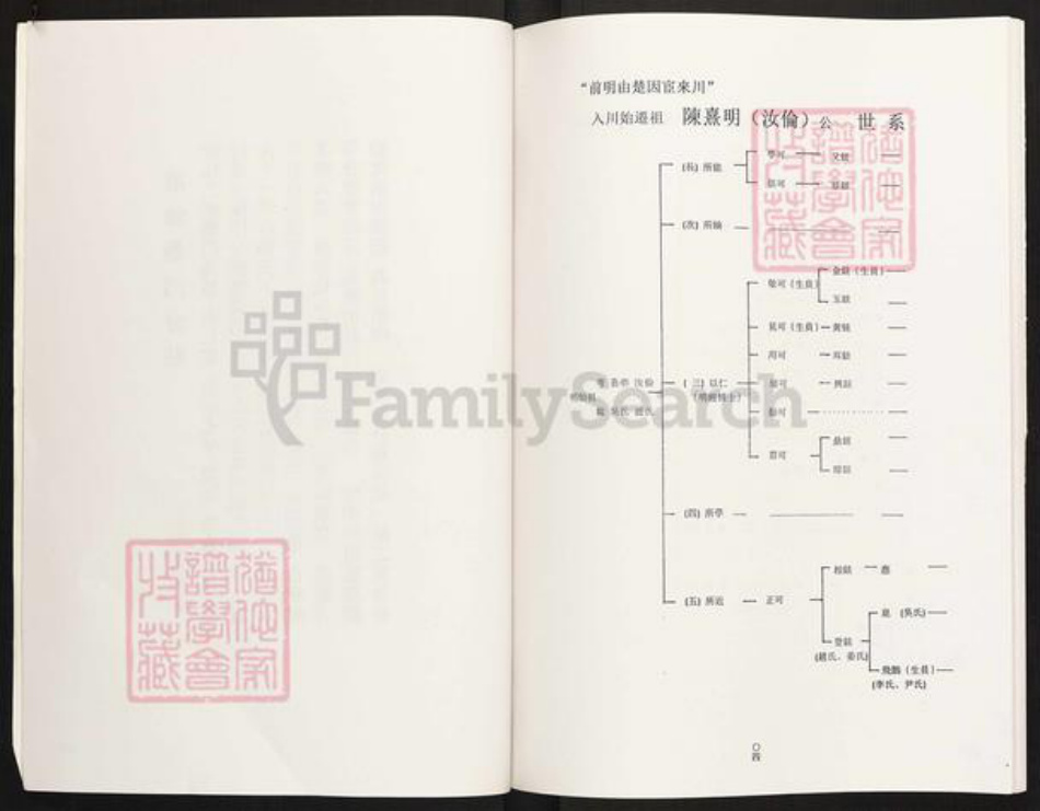 四川省眉山市眉山陈氏族谱-陈氏家谱.颍川郡江州义门陈氏四川仁寿县满井王家大湾.pdf电子版插图5