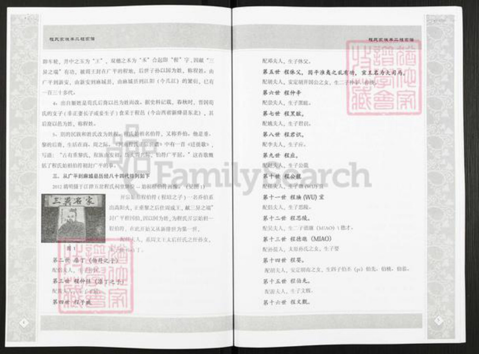 重庆市江津区贾嗣镇程氏族谱-程氏家谱.pdf电子版插图5