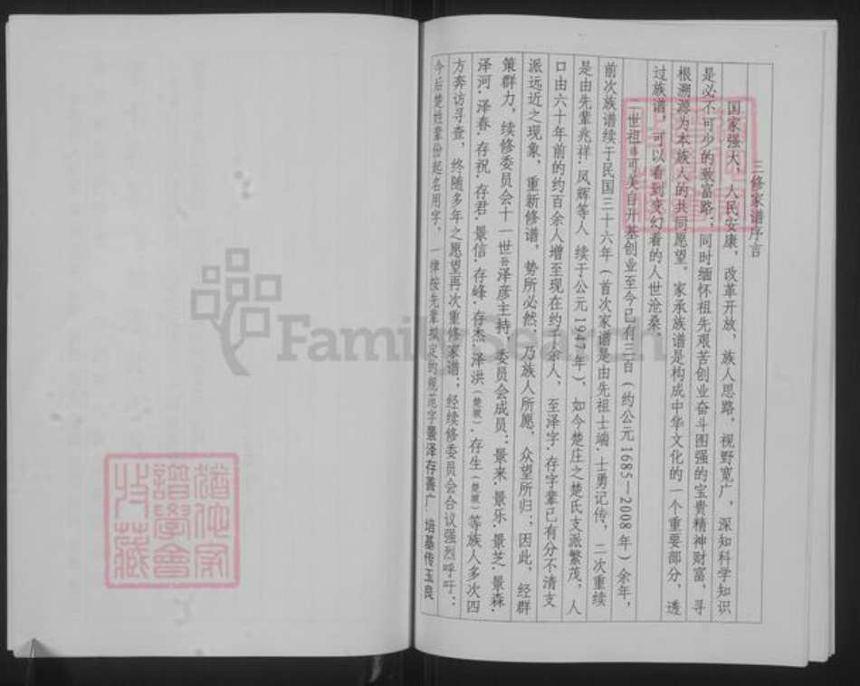 山东省聊城市聊城市沙镇镇楚氏族谱-楚氏家谱.pdf电子版插图5 山东省聊城市聊城市沙镇镇楚氏族谱-楚氏家谱.pdf电子版插图5