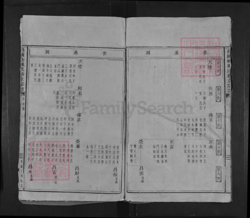 浙江省宁波市象山县戴氏族谱-昌国卫戴氏新立宗谱.pdf电子版插图5