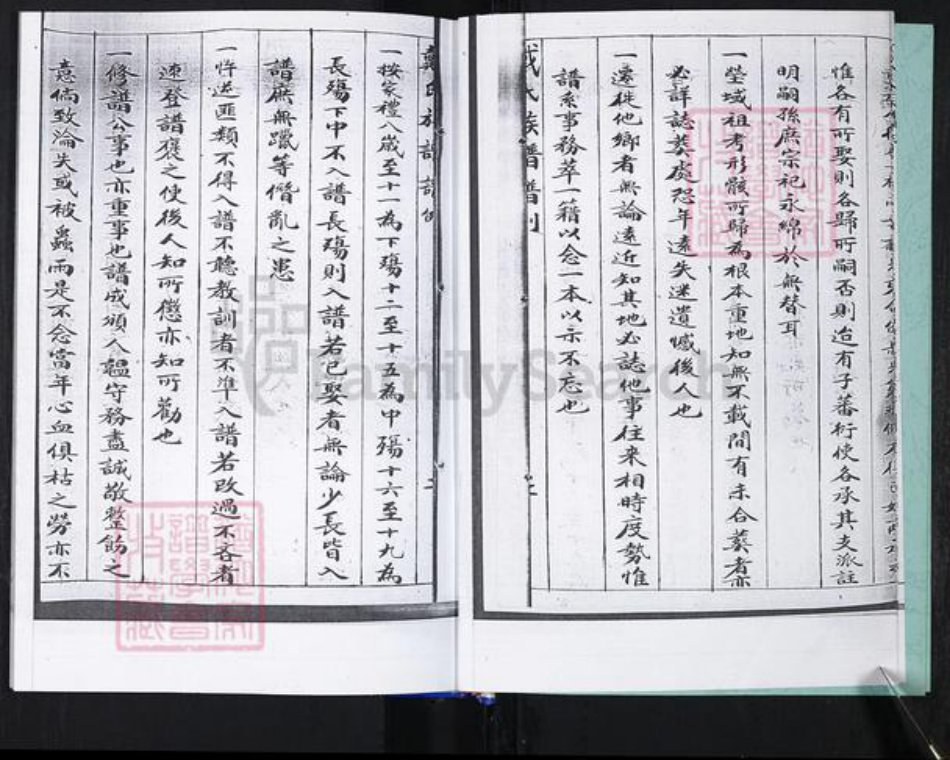 山东省青岛市崂山区戴氏族谱-大麦岛戴氏族谱.pdf电子版插图5