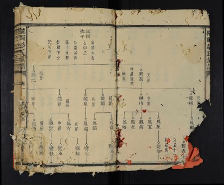 福建彭氏族谱-陇西彭氏族谱 [9卷].pdf电子版插图5