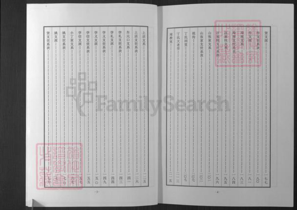 山东省烟台市招远市罗峰街道丁氏族谱-招远丁家庄子丁氏族谱.pdf电子版插图5