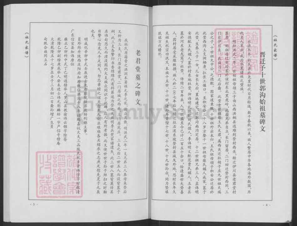 河南省郑州市登封市石道乡杜氏族谱-杜氏家谱.pdf电子版插图5