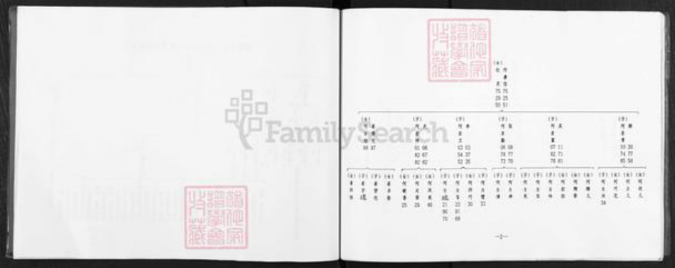 甘肃省庆阳市镇原县杜氏族谱-杜氏家谱.pdf电子版插图5 甘肃省庆阳市镇原县杜氏族谱-杜氏家谱.pdf电子版插图5