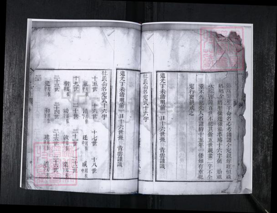 山东省青岛市崂山区杜氏族谱-会场社区杜氏族谱.pdf电子版插图5