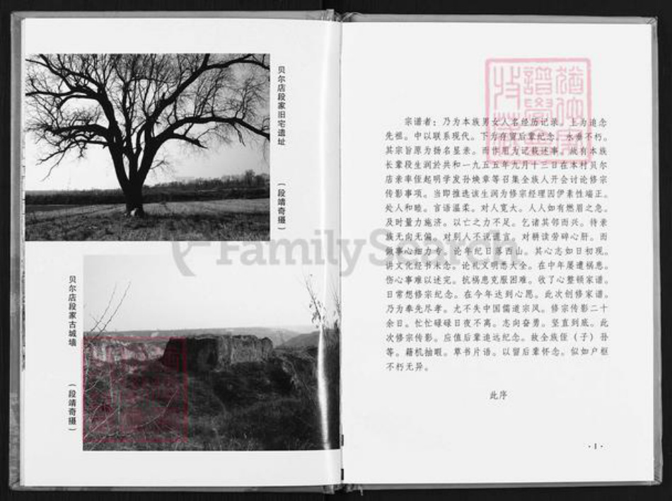 陕西省延安市黄陵县段氏族谱-段氏家谱.pdf电子版插图5 陕西省延安市黄陵县段氏族谱-段氏家谱.pdf电子版插图5