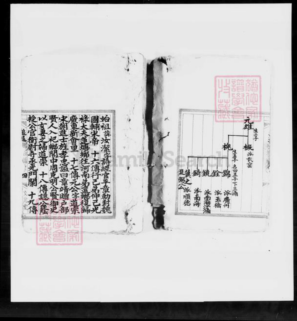 广东省佛山市顺德区冯氏文元堂族谱-冯裕福堂家谱.pdf电子版插图5