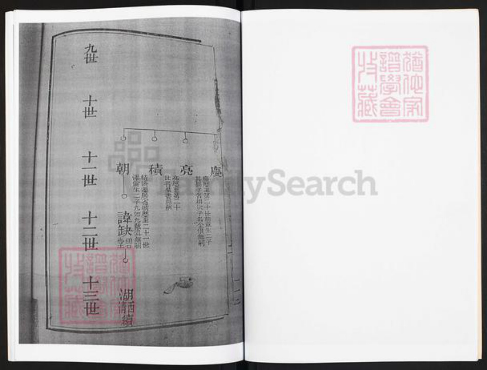 广东省云浮市罗定市龙湾镇冯氏凝福堂族谱-龙湾冯氏世谱.pdf电子版插图5