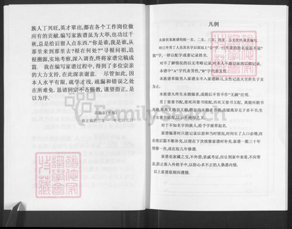 山西省太原市杏花岭区小返乡高氏族谱-高氏家谱.pdf电子版插图5