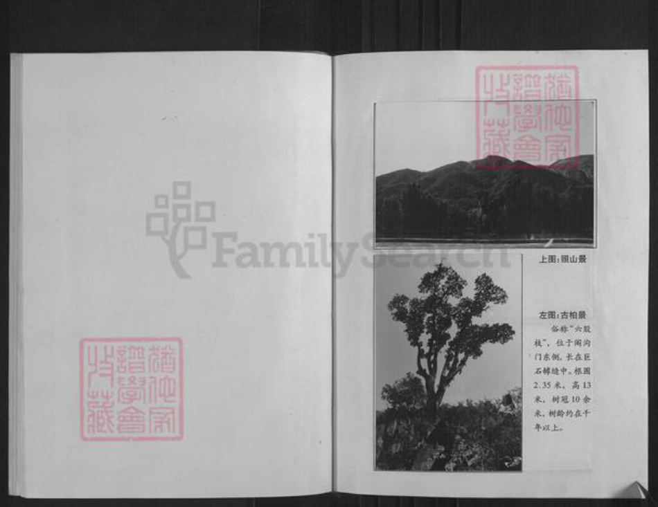 山西省忻州市繁峙县高氏族谱-高氏世谱.pdf电子版插图5