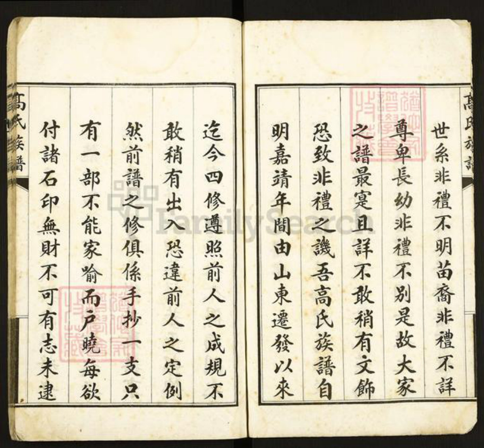 河北省沧州东光县高氏族谱-高氏族谱.pdf电子版插图5 河北省沧州东光县高氏族谱-高氏族谱.pdf电子版插图5