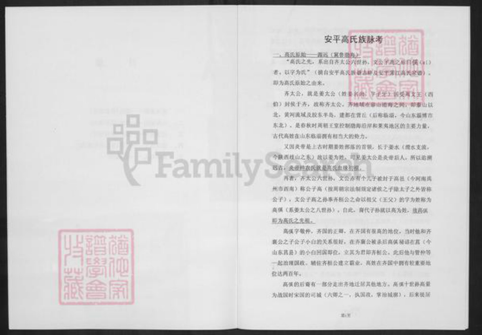 福建省泉州市晋江市安海镇高氏族谱-安平高氏族脉考.pdf电子版插图5