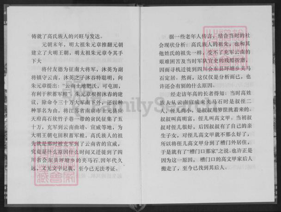 四川省凉山彜族自治州会东县堵格镇高氏族谱-夹马石高氏族谱.pdf电子版插图5