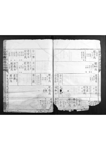 福建邱氏族谱-湖梓里邱氏族谱.pdf电子版插图5