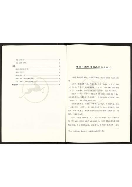 福建汤氏族谱-前林祚汤氏家谱.pdf电子版插图5