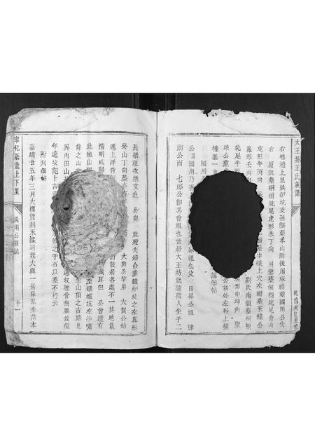 福建王氏族谱-大王坊王氏族谱.pdf电子版插图5 福建王氏族谱-大王坊王氏族谱.pdf电子版插图5