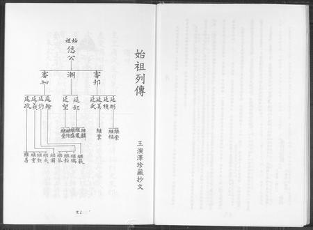 福建王氏族谱-太原堂开闵王氏安溪蓬洲宗谱.pdf电子版插图5