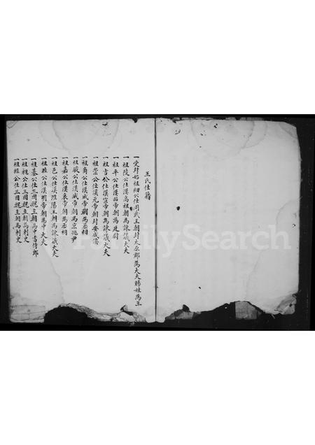 福建王氏族谱-太原王氏宗谱.pdf电子版插图5