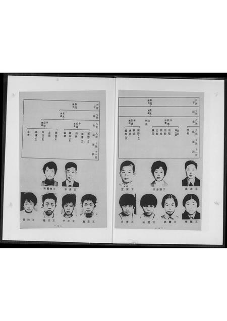 福建王氏族谱-安溪王氏家谱.pdf电子版插图5