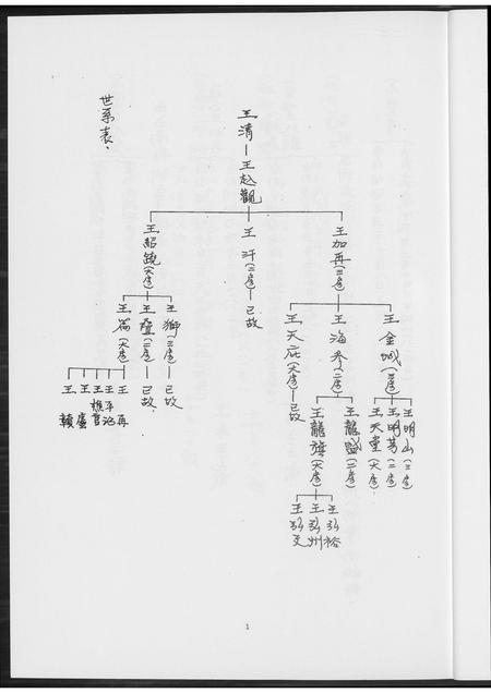 福建王氏族谱-王姓族谱.pdf电子版插图5
